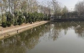 户外垂钓俱乐部