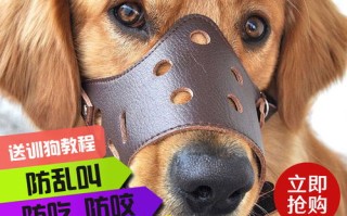 宠物吹水机哪个牌子好用