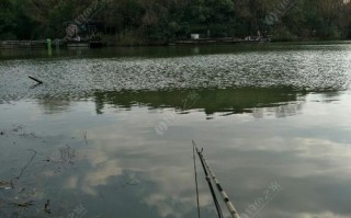 天台石景垂钓中心地址在哪里