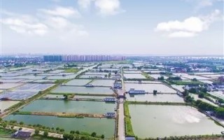 朝阳区金海泽垂钓园