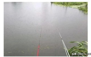 谷雨前后野钓鲫鱼