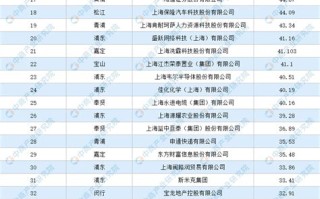 上海数据公司排名
