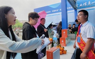 广安大数据主任招聘公告