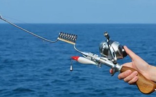 海竿钓鱼视频野钓直播视频