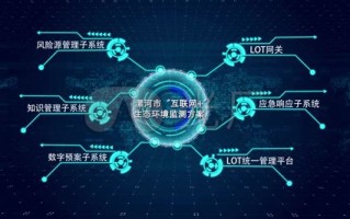 大数据中的图数据