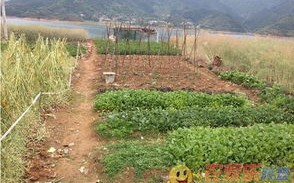 千岛湖休闲垂钓农家乐价格