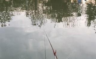 南京琵琶湖能钓鱼吗