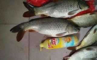 泰州钓鱼场