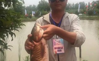 1.调查赛场
