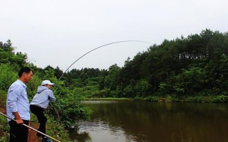 入梅后钓鱼好钓吗