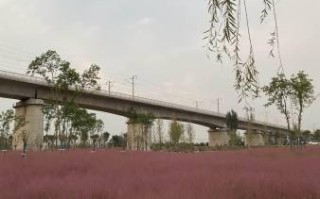 郏县有什么河