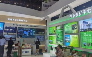 深度解析溧水大数据集团有限公司