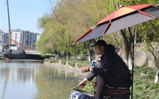 浙江卫视垂钓者直播