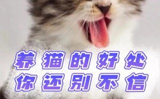 改善性格养宠物好吗