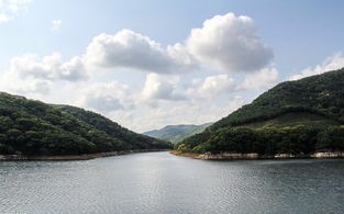 临沂垂钓野炊地点推荐