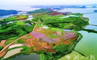 黄石阳新垂钓指南