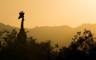 旅行达人秘籍旅游必带的三样东西，轻松出行，享受完美旅程