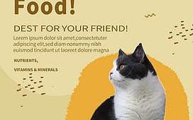 宠儿海报猫