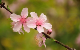 小伙花十几万断骨增高致终身伤残，盲目追求完美的代价与反思