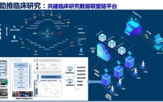 医美圈大数据分析：洞察趋势，把握未来