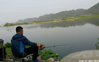 仙居下各钓鱼塘地址