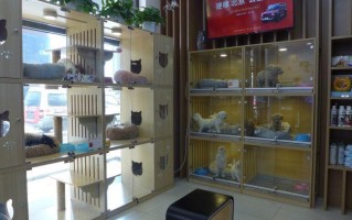 大庆萨尔图宠物店地址