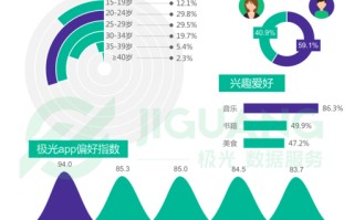 大数据图制作