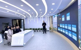1.项目规模与复杂性