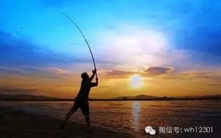 好听钓网名