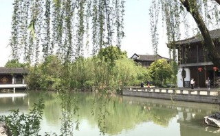 野钓垂钓园