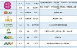 阿里大数据投资额度查询