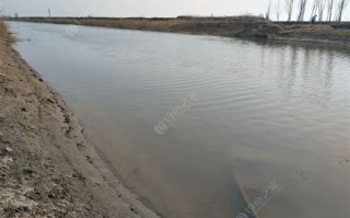 小清河钓鱼违法吗