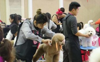 1.培训课程