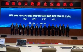 陇南大数据案例分析