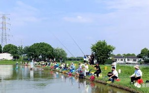 探寻宁静的钓鱼天堂：枫泾镇周边垂钓群