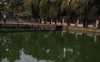 泰安露营基地