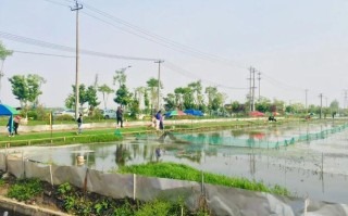 成都野钓龙虾的最佳地方