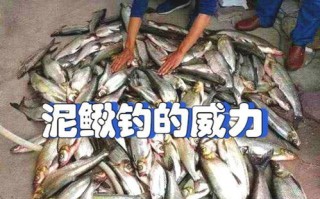 泥鳅垂钓违法行为处罚相关规定