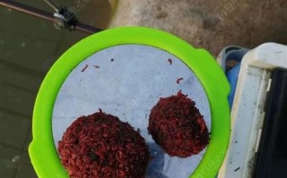 钓甲鱼用啥饵
