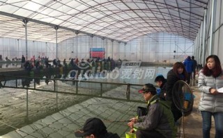钓鱼竿不能收回去怎么办