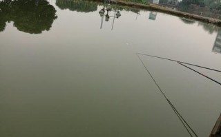 1.自然风光钓鱼俱乐部
