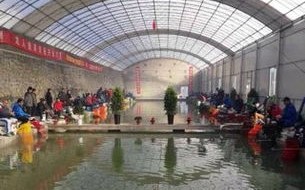冬季垂钓大棚指南