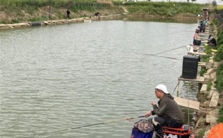 万子营东村美丽乡村如何建设