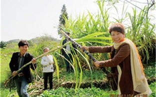 成都郫县哪里可以野钓