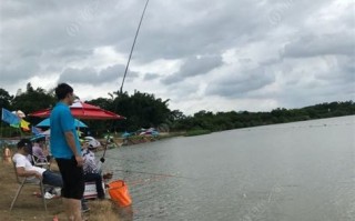 东郊垂钓场