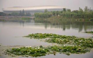 1.七里海垂钓绿洲