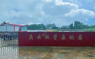 曲阜钓鱼
