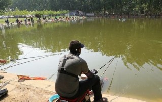七里冲综合垂钓基地招聘电话