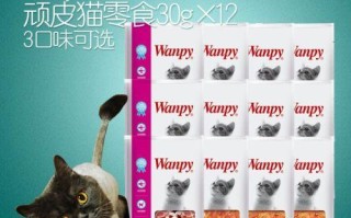 顽皮的猫零食