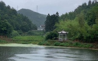 南京哪儿可以钓鱼